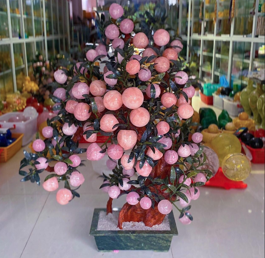 Cấu tạo và dáng cây đào